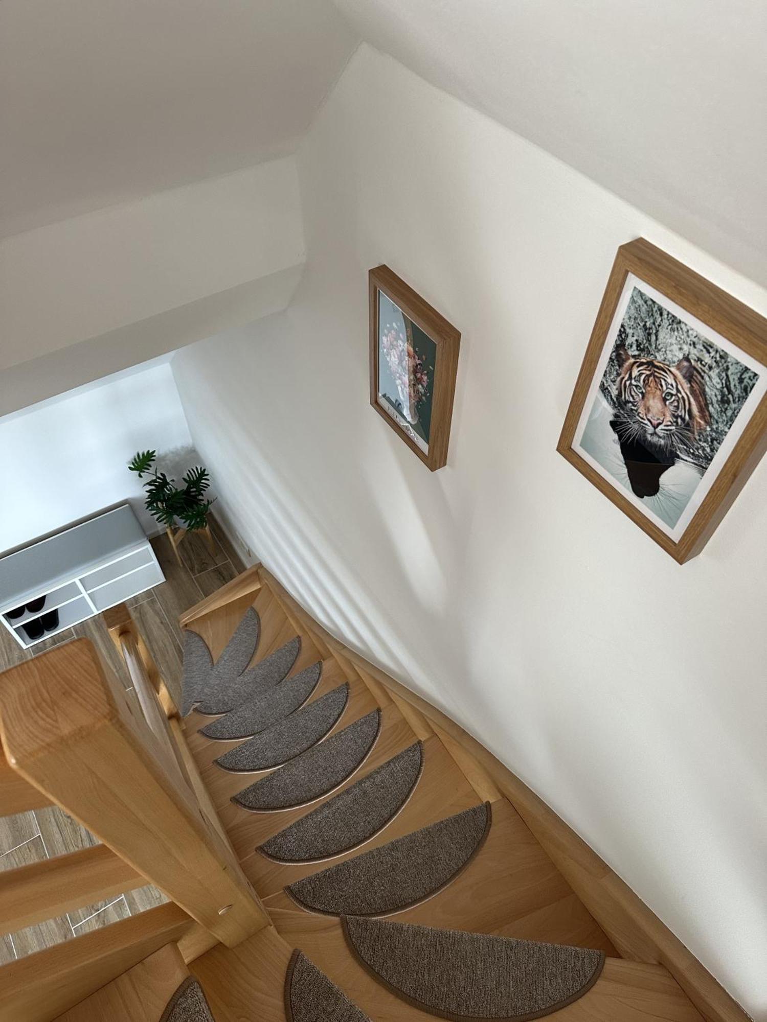 Europa Apartamenty Тшенсач Екстер'єр фото